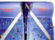 ASF Tours Australia - Seatbelts to ensure safety
