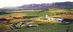 The Hunter Valley
