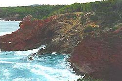 Sapphire Coast