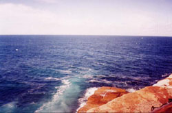 The Gap